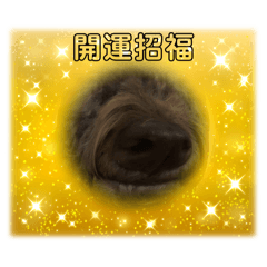 K_20260401091807