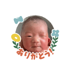 Yoshida_20260405101327