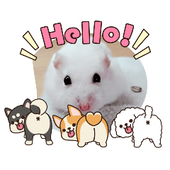 nichiyuru_20260405101434