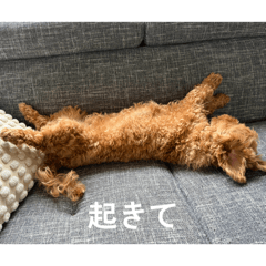 riina_20260405101411