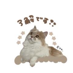 uchinoko_honpo._20260405102100