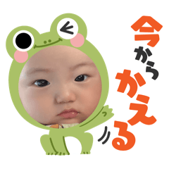 LEMON_20260405102417