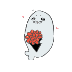 silly harp seal
