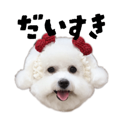 shibayui_20260401231027