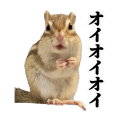 Chipmunk's Conversation Part4