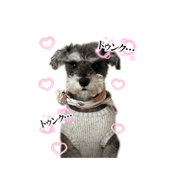 bellemaman_20260405103808