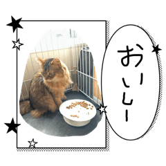 masakote_20260405103915