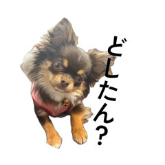 kogamaru_20260405104026