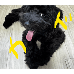 kejio_20260405104528