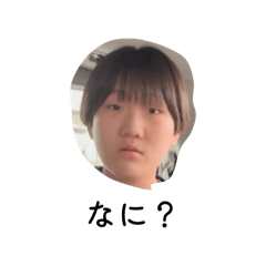 ppplllk_20260405104954