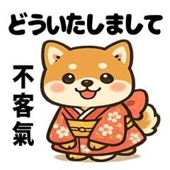 和服柴犬×台日｜ 台灣中文＆日文40個貼圖