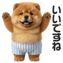 鬆獅犬莉蘿的推文 1