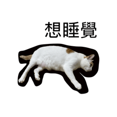 超級無敵貓咪俱樂部