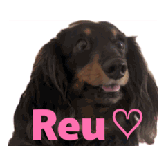 Reu_20260406014620