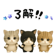 Greetings of small cats-13