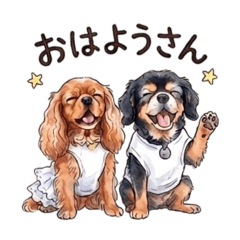 peace_20260403171157