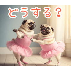 PAKAMOGOLY_20260405145455