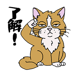 Confident Cat Stickers for Daily Use