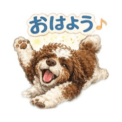 sayuri-AustralianLabradoodle