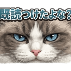mutakun_20260403182755