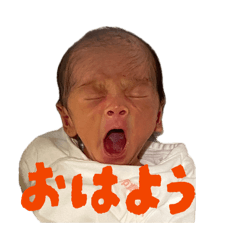 ameru_20260403183619