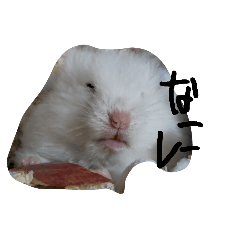 ham-usa-mini_20260403184444