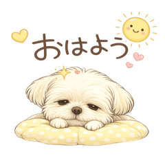 Coyote Lapin_20260403191435