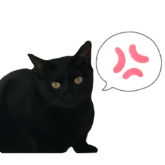 saneai_20260403201951