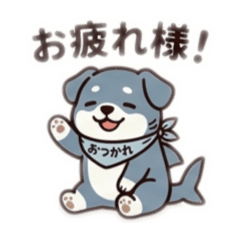 Shark Dog: Daily Life