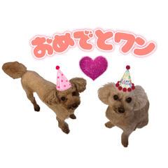 Yuchan_20260404231030