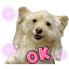 fuwari_20260405001713