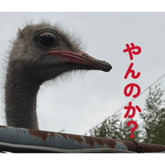 keita_20260402143322