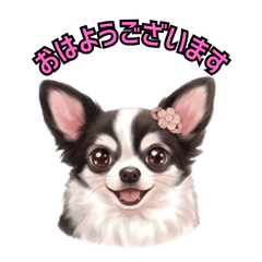 Cute & Expressive Chihuahua Stickers