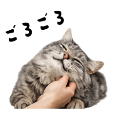 That's a warm hands_20260403230321