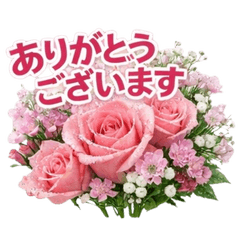 Daily Polite Flower Messages