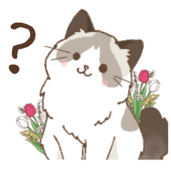 Soft Illustration Ragdoll(everyday)