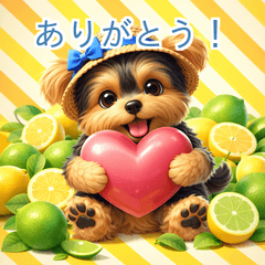 Cute 3D Yorkie Early Summer Stickers