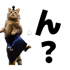 bibi&moca_20260402145559