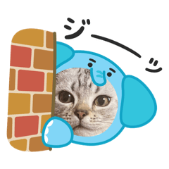 bibi &pino_20260404001605