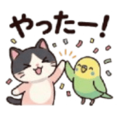 odayakamaigo_20260404001251