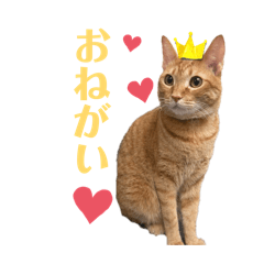 niiyamaniiko_20260404234553