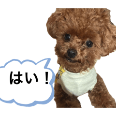 LINEスタンプメーカー22.22