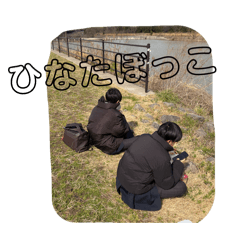 Executive Committee Stamp