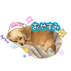 pyuna13_20260404235020