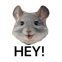 guranora_20260404235409