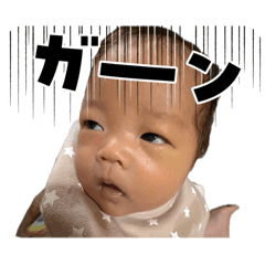 chikako_20260405021628