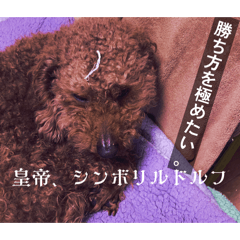 TAIGA_20260405020405