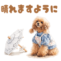 Onpu Gentle Melody Days