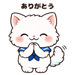 White Sailor Cat: Gratitude & Greetings