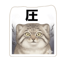 tamatya_20260404004358